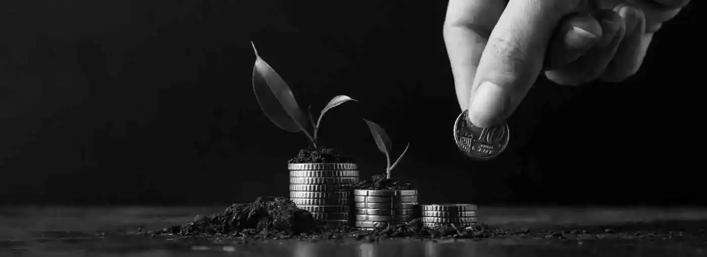 Wealth Creation Image